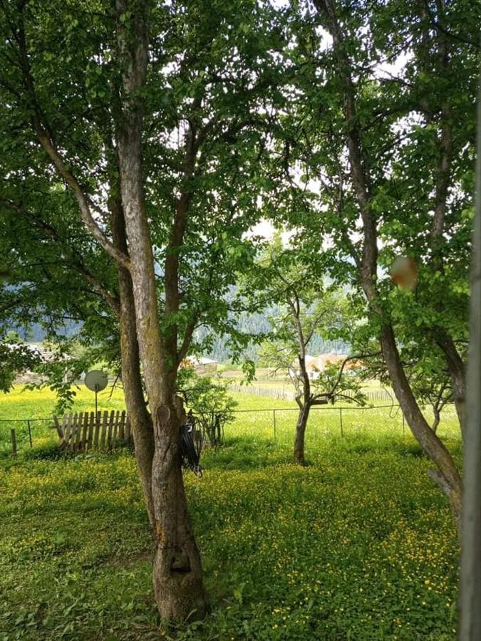 Shorena'S Homestay Tsvirmi Zewnętrze zdjęcie
