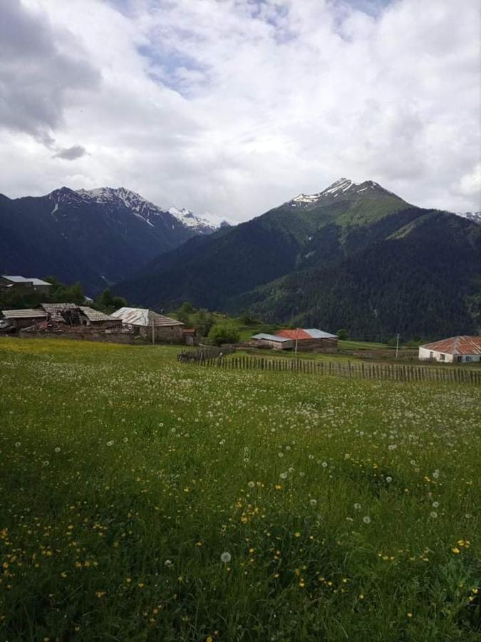 Shorena'S Homestay Tsvirmi Zewnętrze zdjęcie