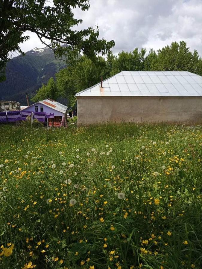 Shorena'S Homestay Tsvirmi Zewnętrze zdjęcie