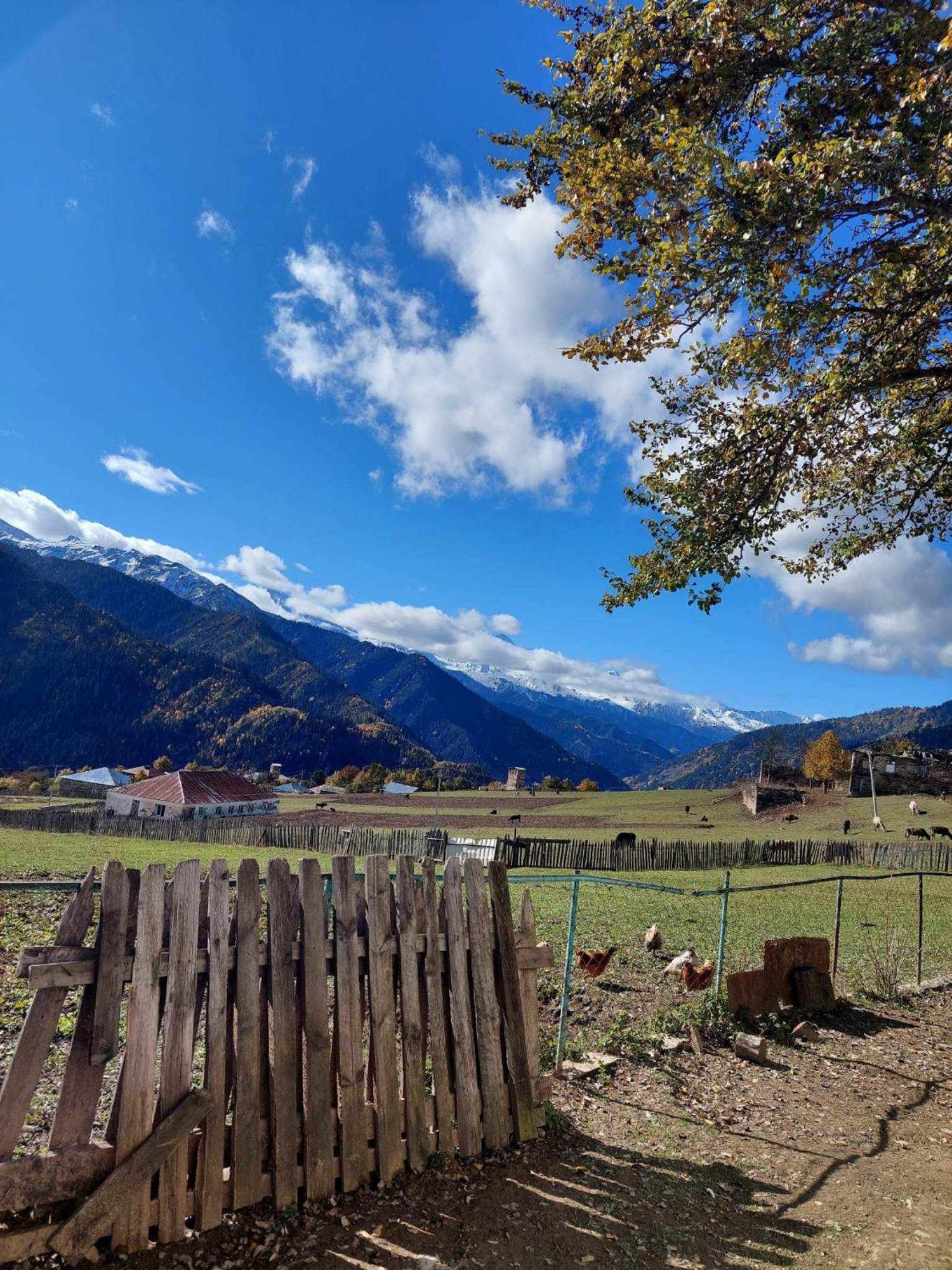 Shorena'S Homestay Tsvirmi Zewnętrze zdjęcie
