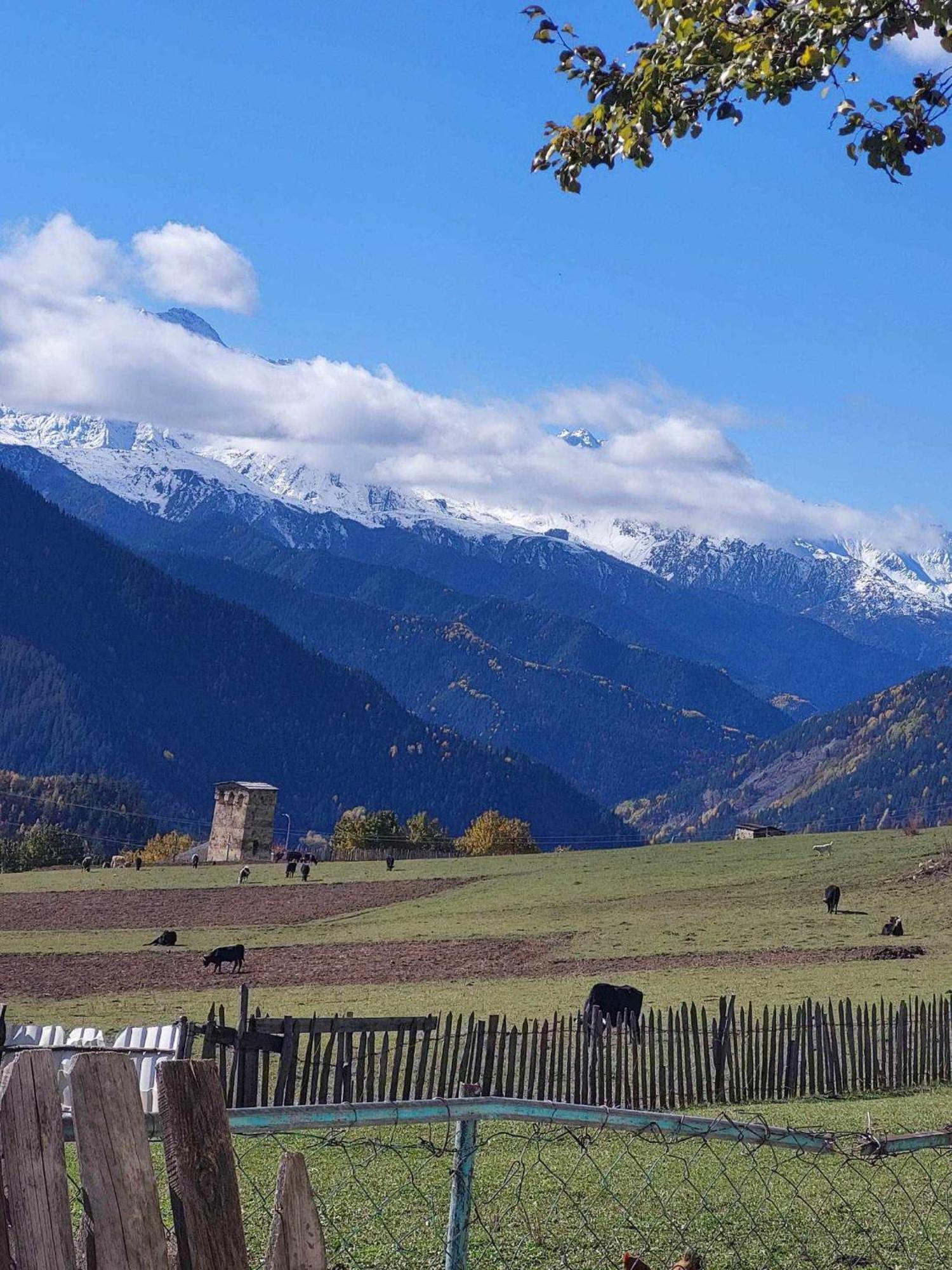 Shorena'S Homestay Tsvirmi Zewnętrze zdjęcie