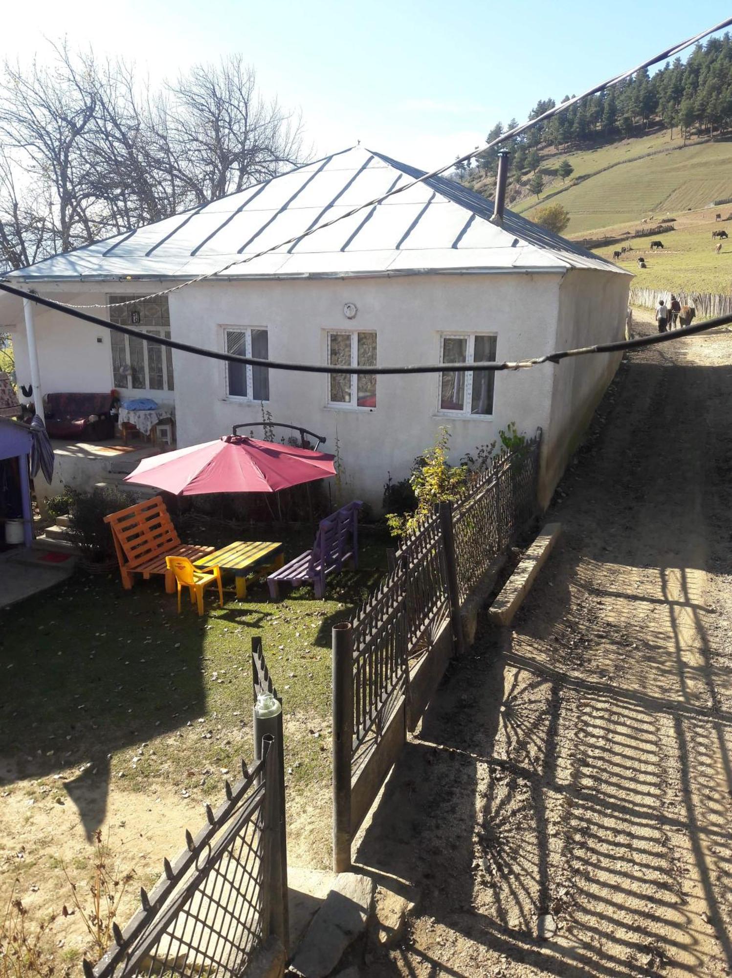 Shorena'S Homestay Tsvirmi Zewnętrze zdjęcie