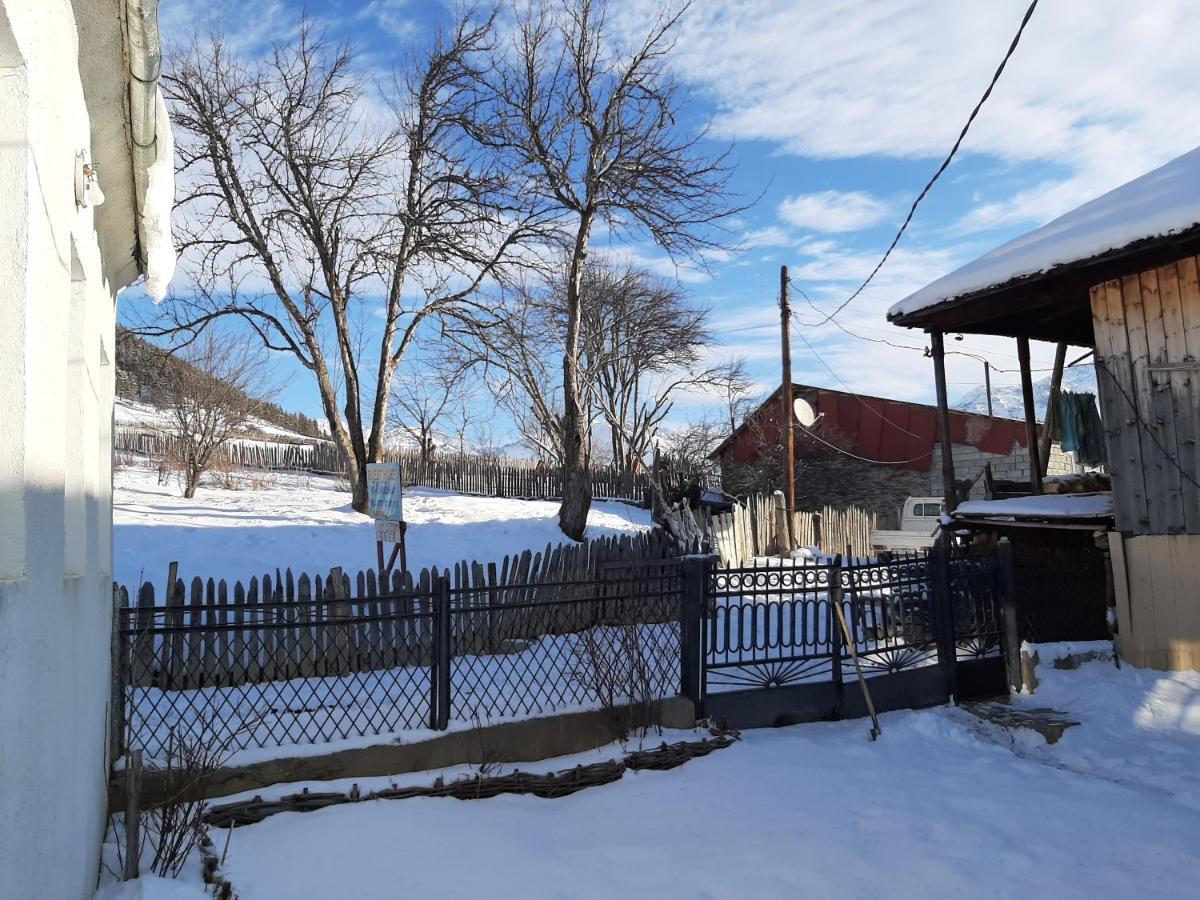 Shorena'S Homestay Tsvirmi Zewnętrze zdjęcie