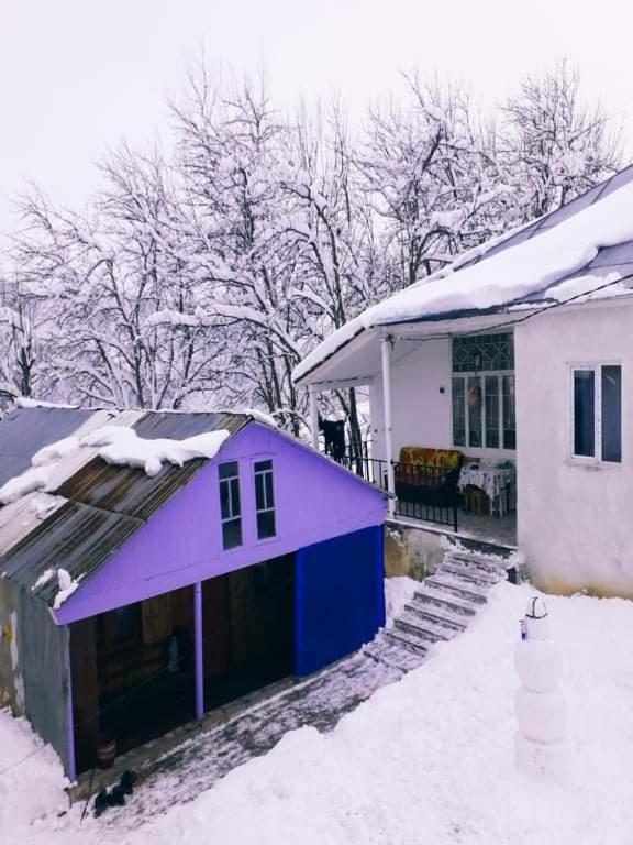 Shorena'S Homestay Tsvirmi Zewnętrze zdjęcie