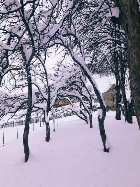 Shorena'S Homestay Tsvirmi Zewnętrze zdjęcie
